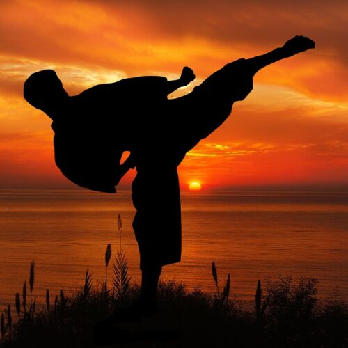 Karatecy spróbują swoich sił w Halembie
